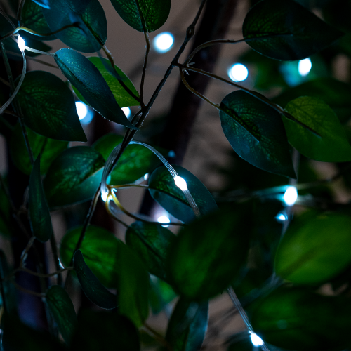 Fairy Lights - 01 fairy-lights-10