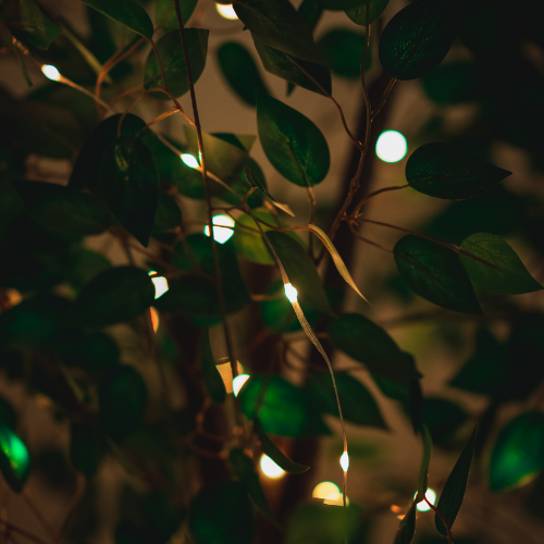 Fairy Lights - 03 fairy-lights-10m